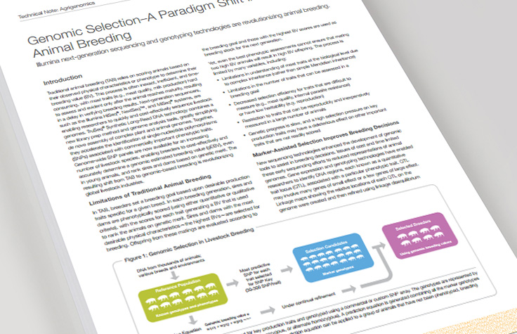Genomic Selection and Breeding