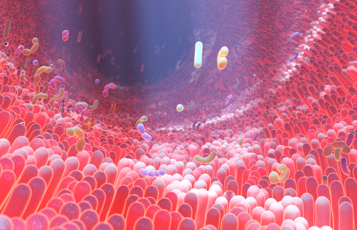 Illumina与Microba Life Sciences合作 加速微生物组研究