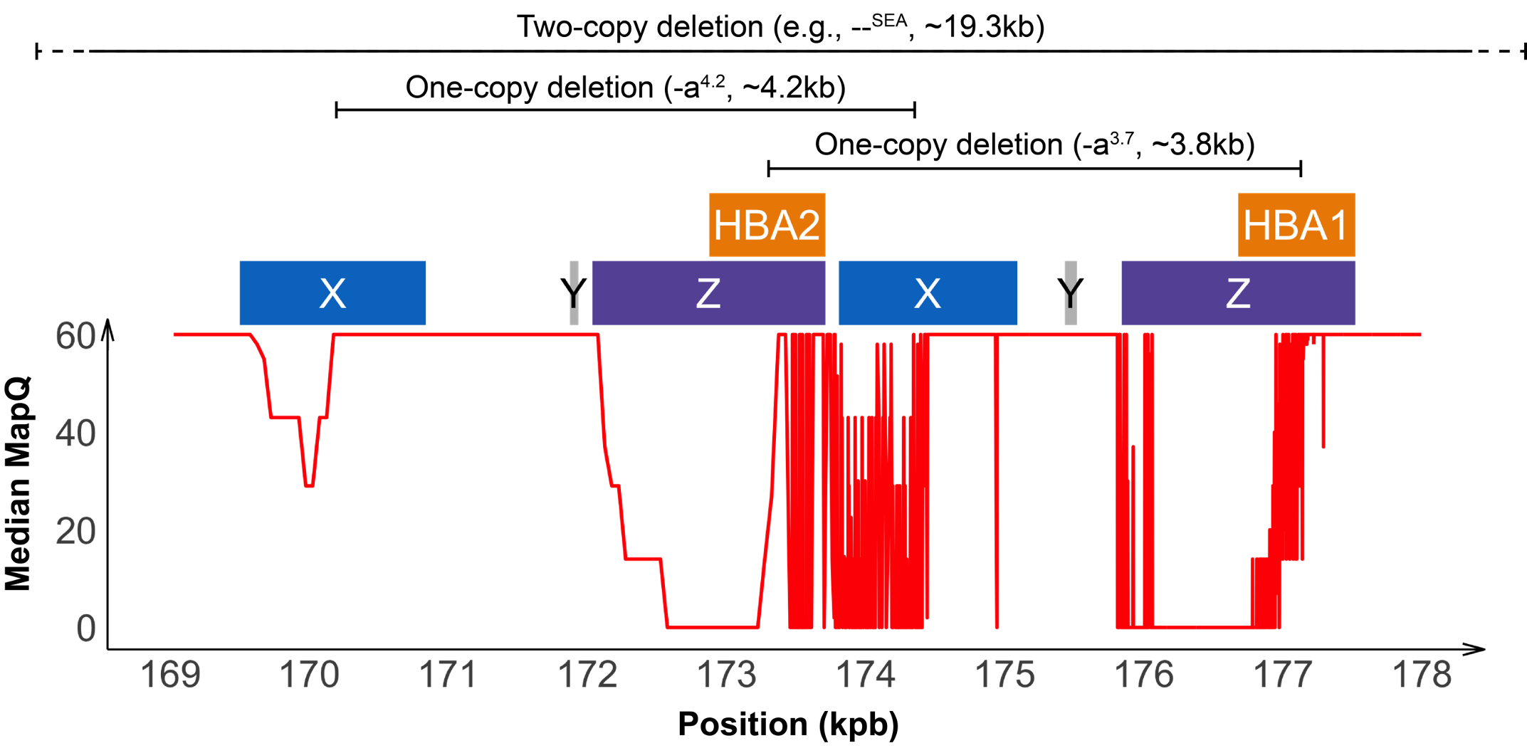 Figure 2. Common deletions, gene regions