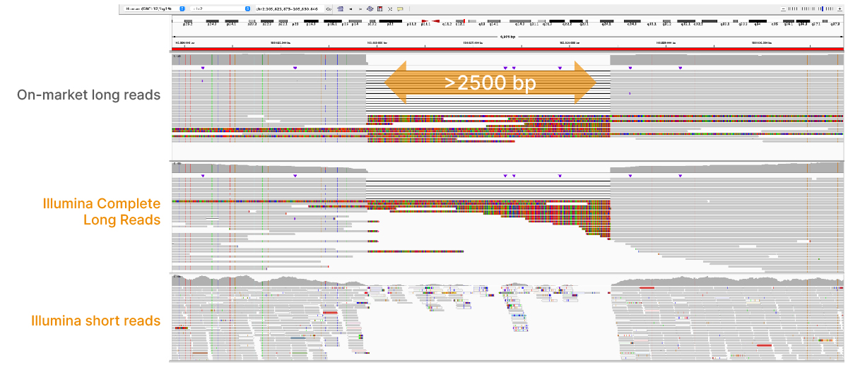 Illumina Complete Long Reads解析大片段插入缺失变异