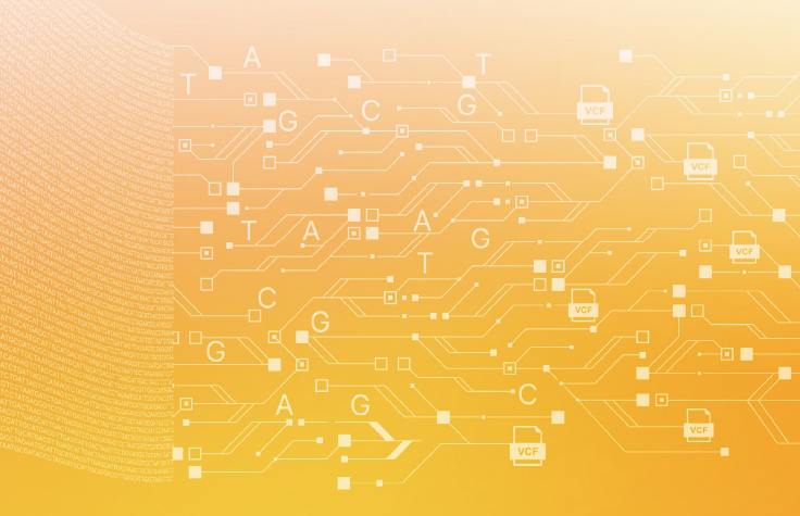 Gene expression and regulation bioinformatics eBook