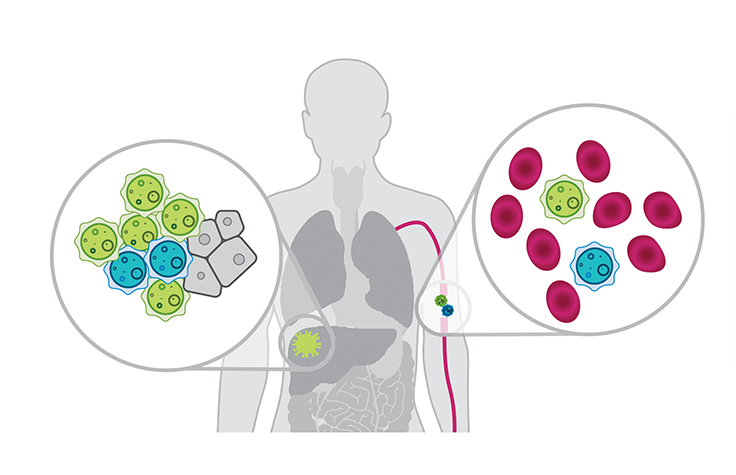 Doctor listening to patient's lungs.