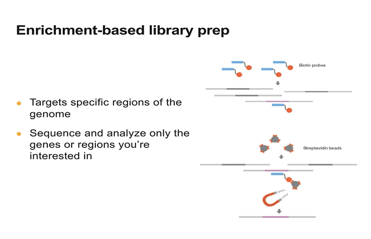 Enrichment data analysis: Introduction