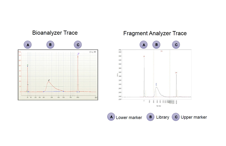RNA sequencing part II: Best practices for Illumina RNA prep protocols